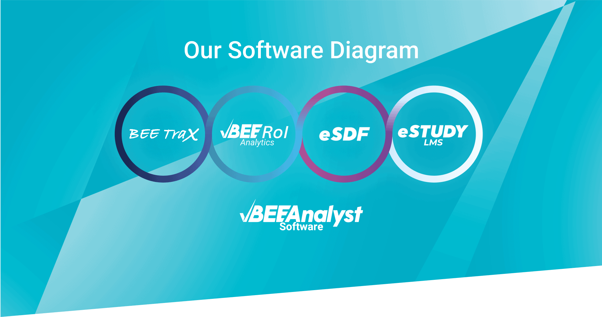 BEE Software - BEE Analyst